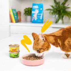 Boite chat Dinde et Poulet 85g Edgar Cooper