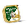 Chien adulte
