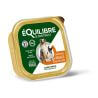 Chien adulte