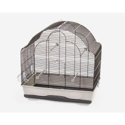 Cage oiseaux DAISY