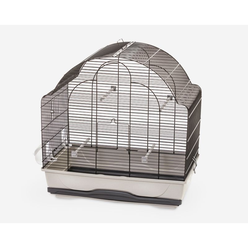 Cage oiseaux