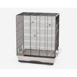 Cage oiseaux AMBRA