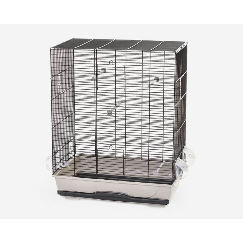 Cage oiseaux AMBRA