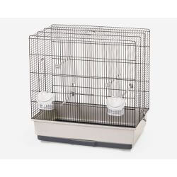 Cage oiseaux MARA