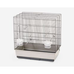Cage oiseaux MOIRA