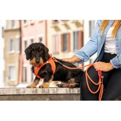 Harnais veste Curli boucle orange XL