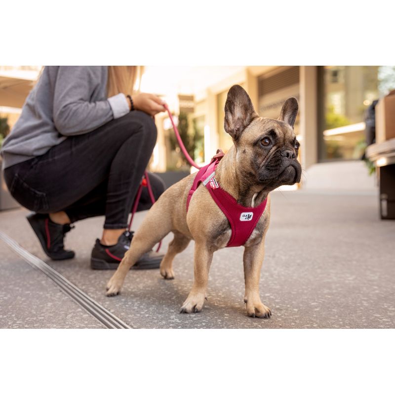 Harnais veste Curli boucle rouge S - Harnais pour chiens