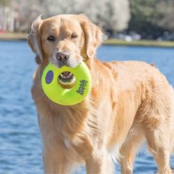 KONG AirDog Donut M