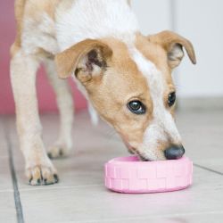 KONG Puppy Tires S