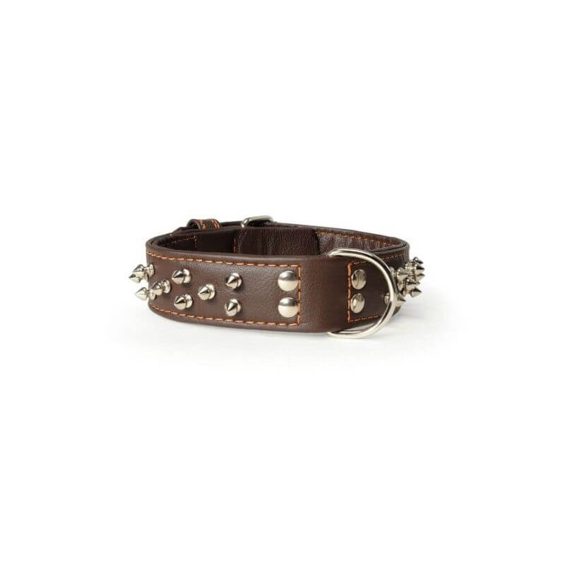 Collier avec clous de 40x550mm