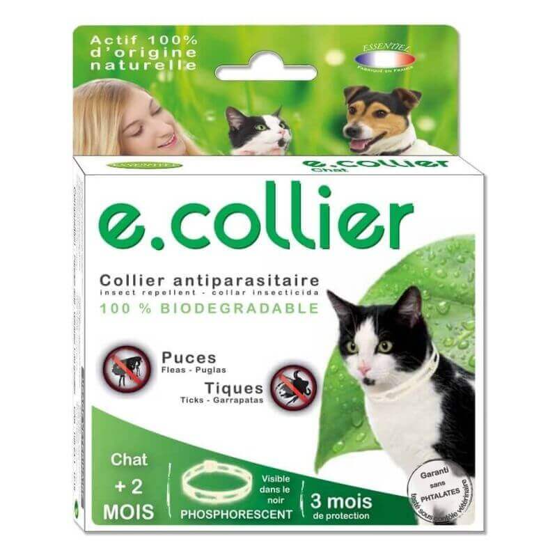 Kokoon Briancon E Collier Chat Phosphorescent Retrait Magasin 2h