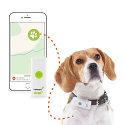 Collier GPS Weenect Dogs 2