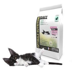DAFF Optimale Santé Kitten 10 KG
