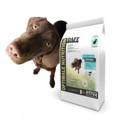 DAFF Optimale Santé Stérilisé 3 KG