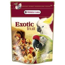 Perroquets Exotic Fruit