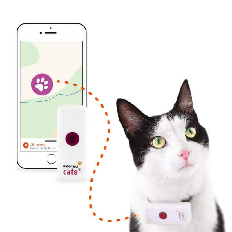 Kokoon Frejus Collier Gps Chat Weenect 2 Retrait Magasin 2h Kokoon Frejus Collier Gps Chat Weenect 2 Retrait Magasin 2h