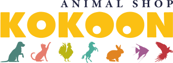 Logo Kokoonshop footer