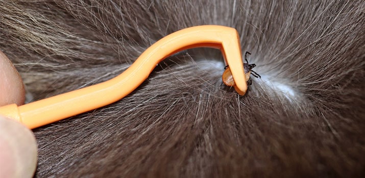 Accessoires