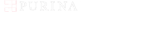 DENTALIFE