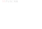 FELIX