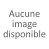 Chien adulte