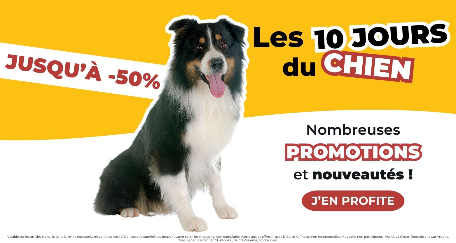 Les 10 jours du chat - Promotions et nouveautés