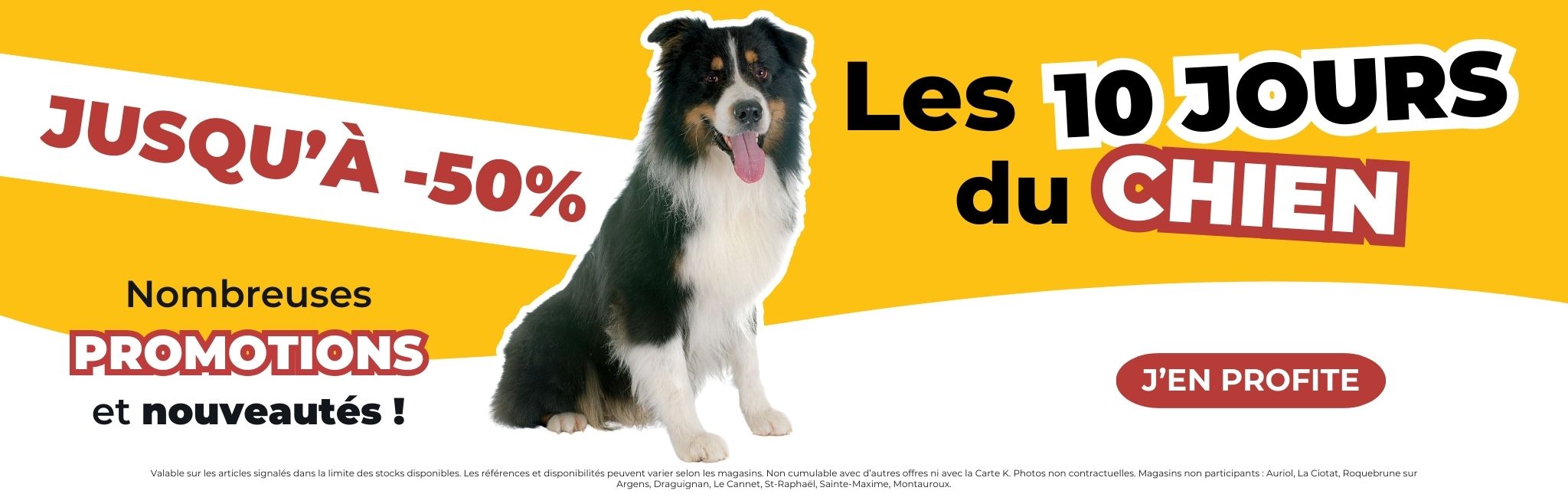 Les 10 jours du chien - Promotions et nouveautés