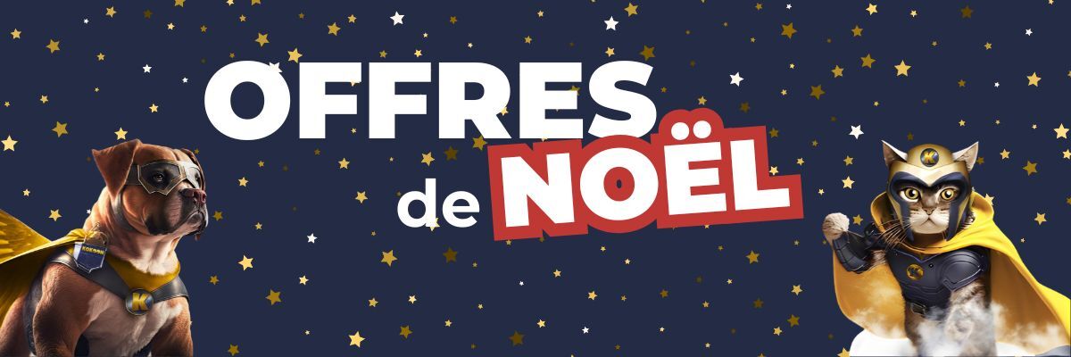 Promotions de Noël